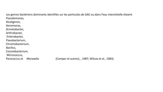 Les genres bactériens dominants identifiés sur les particules de GAC ou dans l’eau interstitielle étaient
Pseudomonas,
Alcaligenes,
Aeromonas,
Acinetobacter,
Arthrobacter,
Enterobacter,
Flavobacterium,
Chromobacterium,
Bacillus,
Corynebacterium,
Micrococcus,
Parococcus et Moraxella (Camper et autres); , 1987; Wilcox et al., 1983).
 
