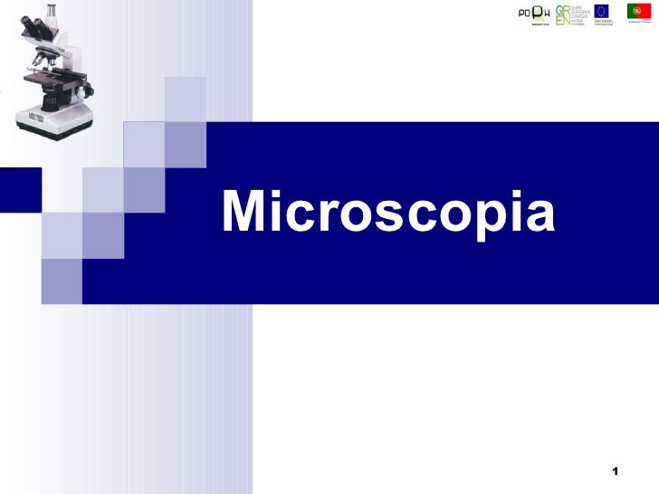 Microscopia 