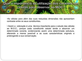 .
•As células para além das suas reduzidas dimensões não apresentam
contraste entre os seus constituintes.
• Assim a coloração é uma técnica importante para o estudo das células
ao M.O.C., porque cada constituinte celular tende a absorver um
determinado corante, evidenciando assim uma determinada estrutura,
alterando a menos possível a as suas características originais e
prolongando a sua conservação.
 