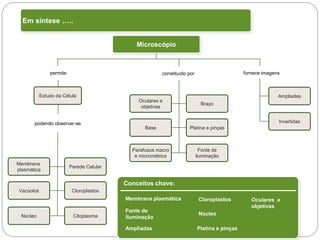 Tema I – Sistema Terra: da célula à biodiversidade
2 – Célula, unidade básica da biodiversidade
permite fornece imagens
podendo observar-se
Conceitos chave:
Microscópio
Estudo da Célula
Membrana plasmática
Fonte de
iluminação
Parede Celular
Cloroplastos
Citoplasma
Membrana
plasmática
Vacúolos
Núcleo
Ampliadas
Invertidas
constituído por
Braço
Platina e pinças
Fonte de
iluminação
Oculares e
objetivas
Base
Parafusos macro
e micrométrico
Cloroplastos
Núcleo
Ampliadas
Oculares e
objetivas
Platina e pinças
Em síntese …..
 