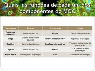 Componente Função Componente Função
Oculares e
objetivas
Lente ampliadora Pinças Fixação da preparação
Braço
Suporte do revólver e
oculares
Parafuso macrométrico Fogem da preparação
Revólver Suporte das objetivas Parafuso micrométrico
Focagem mais precisa da
preparação
Objetiva Lente ampliadora Platina
Local de colocação da
preparação
Fonte de luz Iluminação da preparação Base Suporte do microscópio
 