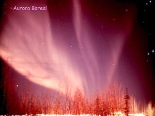 Aurora Boreal 