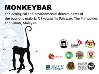 MONKEYBAR
The ecological and environmental determinants of
the zoonotic malaria P. knowlesi in Palawan, The Philippines
and Sabah, Malaysia
 