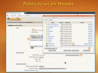 Publicación en Moodle
 