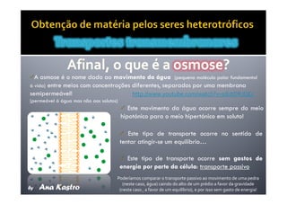 Movimentos Transmembranares