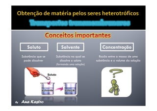 Movimentos Transmembranares