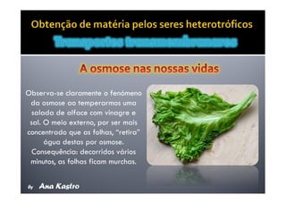 Movimentos Transmembranares