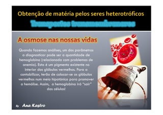 Movimentos Transmembranares