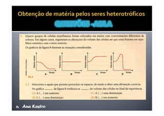 Movimentos Transmembranares