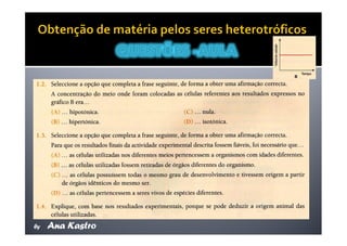 Movimentos Transmembranares