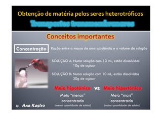 Movimentos Transmembranares