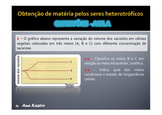 Movimentos Transmembranares