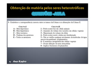 Movimentos Transmembranares