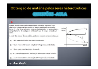 Movimentos Transmembranares