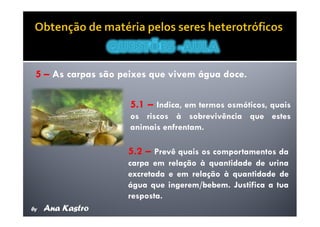 Movimentos Transmembranares