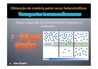 Movimentos Transmembranares