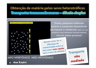 Movimentos Transmembranares