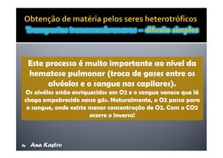 Movimentos Transmembranares