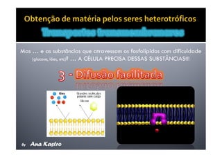 Movimentos Transmembranares