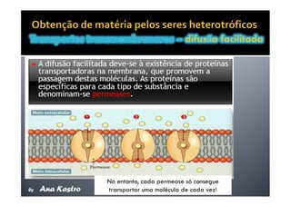 Movimentos Transmembranares