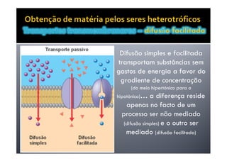 Movimentos Transmembranares