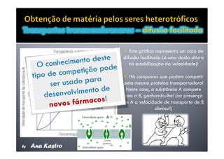 Movimentos Transmembranares