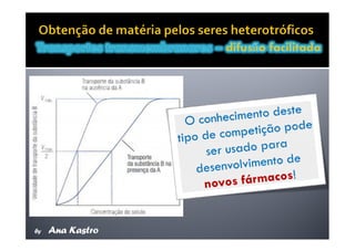 Movimentos Transmembranares