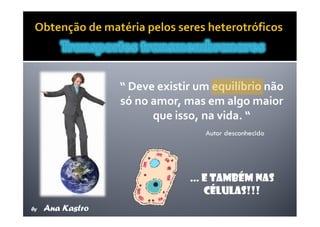 Movimentos Transmembranares