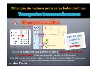 Movimentos Transmembranares