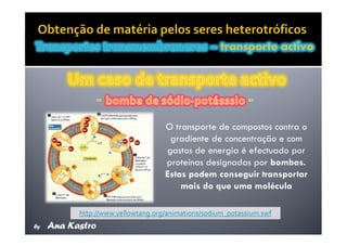 Movimentos Transmembranares