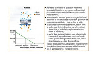 Movimentos Transmembranares