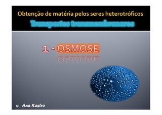 Movimentos Transmembranares