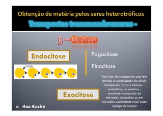 Movimentos Transmembranares