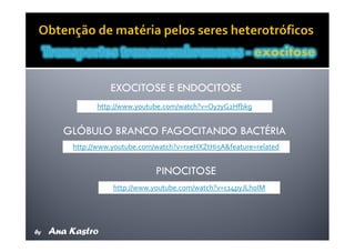 Movimentos Transmembranares