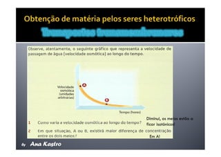 Movimentos Transmembranares