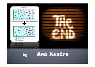 Movimentos Transmembranares