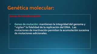 Genética molecular:
Genes de transformación:
• Genes de mutación:
 