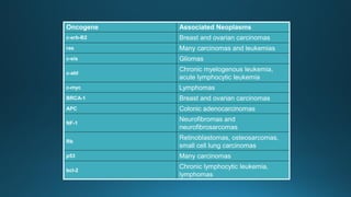 Oncogene Associated Neoplasms
c-erb-B2 Breast and ovarian carcinomas
ras Many carcinomas and leukemias
c-sis Gliomas
c-abl
Chronic myelogenous leukemia,
acute lymphocytic leukemia
c-myc Lymphomas
BRCA-1 Breast and ovarian carcinomas
APC Colonic adenocarcinomas
NF-1
Neurofibromas and
neurofibrosarcomas
Rb
Retinoblastomas, osteosarcomas,
small cell lung carcinomas
p53 Many carcinomas
bcl-2
Chronic lymphocytic leukemia,
lymphomas
 