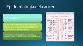 La incidencia del cáncer varía con la geografía, la edad, la
raza, y el fondo genético
Factores ambientales importantes implicados en la
carcinogénesis son: agentes infecciosos, el tabaquismo, el
alcohol, la dieta, obesidad, historia reproductiva, y la
exposición a carcinógenos ambientales
Las interacciones entre los factores ambientales y
genéticos pueden ser determinantes del riesgo de cáncer.
 