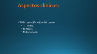 Aspectos clínicos:
 