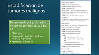 Determinada por exploración o
imágenes quirúrgicas, se basa
en
• El tamaño
• Propagación a nódulos linfáticos
locales y regionales
• Metástasis a distancia
 