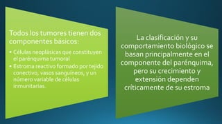 Todos los tumores tienen dos
componentes básicos:
• Células neoplásicas que constituyen
el parénquima tumoral
• Estroma reactivo formado por tejido
conectivo, vasos sanguíneos, y un
número variable de células
inmunitarias.
La clasificación y su
comportamiento biológico se
basan principalmente en el
componente del parénquima,
pero su crecimiento y
extensión dependen
críticamente de su estroma
 