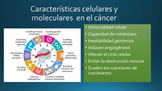 • Inmortalidad celular
• Capacidad de metástasis
• Inestabilidad genómica
• Inducen angiogénesis
• Alteran el ciclo celular
• Evitan la destrucción inmune
• Evaden los supresores de
crecimiento
 