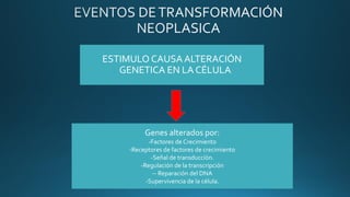 ESTIMULO CAUSA ALTERACIÓN
GENETICA EN LA CÉLULA
Genes alterados por:
-Factores de Crecimiento
-Receptores de factores de crecimiento
-Señal de transduccíón.
-Regulación de la transcripción
-- Reparación del DNA
-Supervivencia de la célula.
 