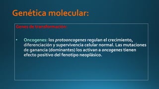 Genética molecular:
Genes de transformación:
• Oncogenes:
 