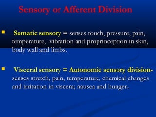 Sensory or Afferent Division
 Somatic sensory == senses touch, pressure, pain,senses touch, pressure, pain,
temperature, vibration and proprioception in skin,temperature, vibration and proprioception in skin,
body wall and limbs.body wall and limbs.
 Visceral sensory = Autonomic sensory division-= Autonomic sensory division-
sensessenses stretch, pain, temperature, chemical changesstretch, pain, temperature, chemical changes
and irritation in viscera; nausea and hungerand irritation in viscera; nausea and hunger..
 