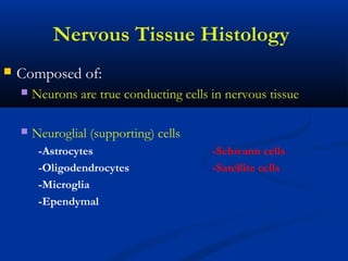 Nervous Tissue Histology
 Composed of:
 Neurons are true conducting cells in nervous tissue
 Neuroglial (supporting) cells
-Astrocytes -Schwann cells
-Oligodendrocytes -Satellite cells
-Microglia
-Ependymal
 