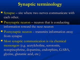 Synaptic terminology
 SynapseSynapse – site where two nerves communicate with– site where two nerves communicate with
each other.each other.
 Presynaptic neuronPresynaptic neuron – neuron that is conducting– neuron that is conducting
information toward the next neuroninformation toward the next neuron
 Postsynaptic neuronPostsynaptic neuron – transmits information away– transmits information away
from synapsefrom synapse
 Most synaptic communication is via chemicalMost synaptic communication is via chemical
messengersmessengers (e.g. acetylcholine, serotonin,(e.g. acetylcholine, serotonin,
norepinephrine, dopamine, endorphins, GABA,norepinephrine, dopamine, endorphins, GABA,
glycine, glutamic acid, etc.)glycine, glutamic acid, etc.)
 