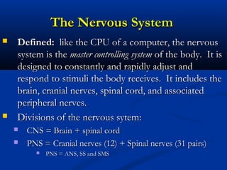 The NervousThe Nervous SystemSystem
 Defined:Defined: like the CPU of a computer, the nervouslike the CPU of a computer, the nervous
system is thesystem is the master controlling systemmaster controlling system of the body. It isof the body. It is
designed to constantly and rapidly adjust anddesigned to constantly and rapidly adjust and
respond to stimuli the body receives. It includes therespond to stimuli the body receives. It includes the
brain, cranial nerves, spinal cord, and associatedbrain, cranial nerves, spinal cord, and associated
peripheral nerves.peripheral nerves.
 Divisions of the nervous sytem:Divisions of the nervous sytem:
 CNS = Brain + spinal cordCNS = Brain + spinal cord
 PNS = Cranial nerves (12) + Spinal nerves (31 pairs)PNS = Cranial nerves (12) + Spinal nerves (31 pairs)
 PNS = ANS, SS and SMSPNS = ANS, SS and SMS
 