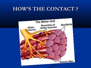 HOW’S THE CONTACT ?HOW’S THE CONTACT ?
 